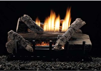 Fireplace_GasLogSet1