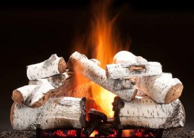 Fireplace_GasLogSet2